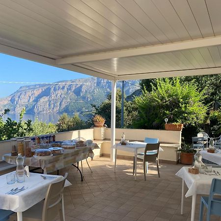 Villa Caterina Affittacamere Маратеа Екстериор снимка